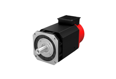spindle motor